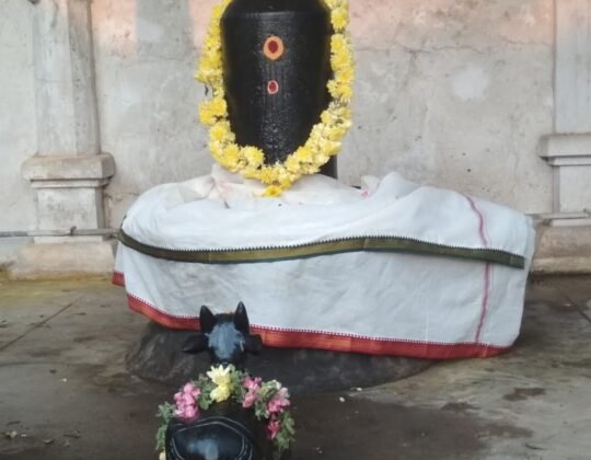 Arulmigu Kaala Kaleshwarar Temple