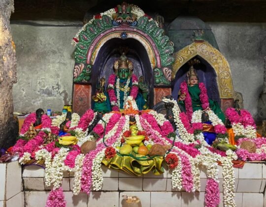 Pachai Amman Sametha Mannar Swamy Temple