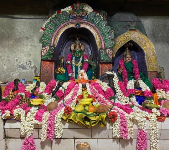 Pachai Amman Sametha Mannar Swamy Temple